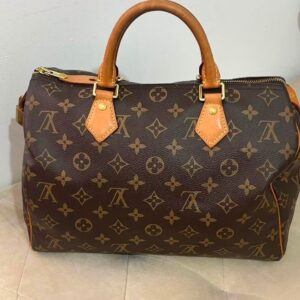 Speedy 30  - Louis Vuitton
